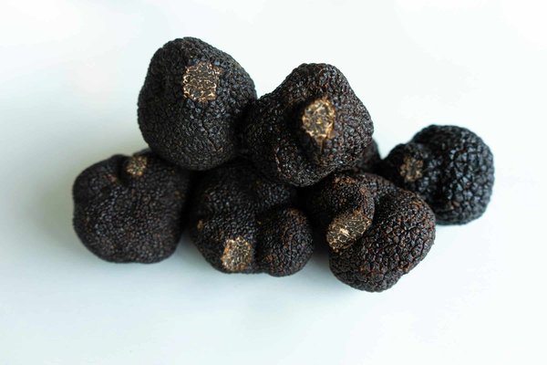 Où participer à une cueillette de truffes en Italie ?
